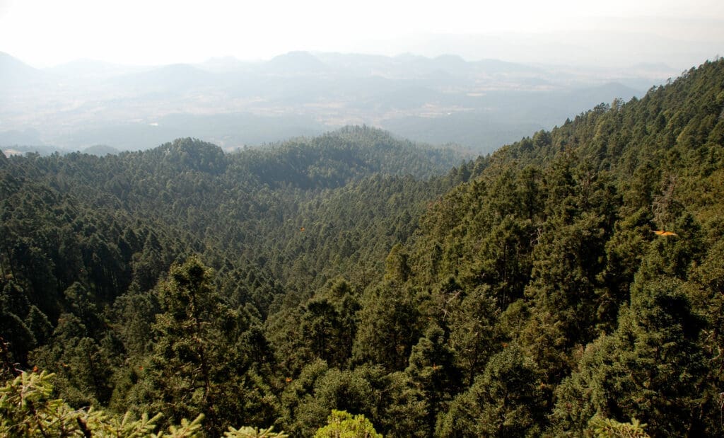landscape in mexico